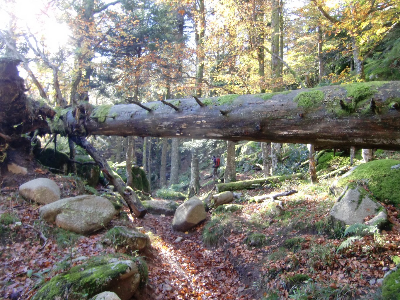 Vers l'accès