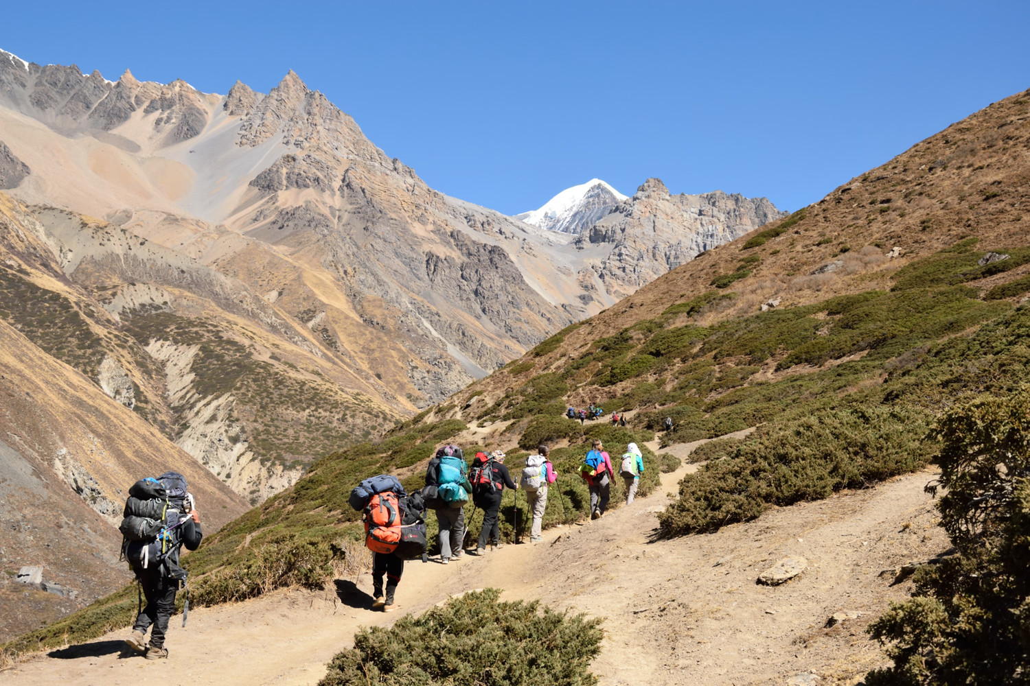 Montée à Thorong Phedi