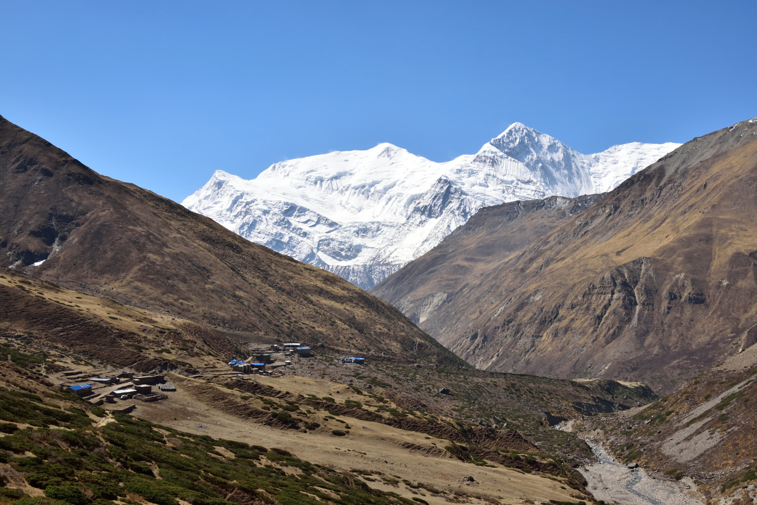 Entre Yak Kharka et Thorong Phedi, au fond l'Annapurna IV