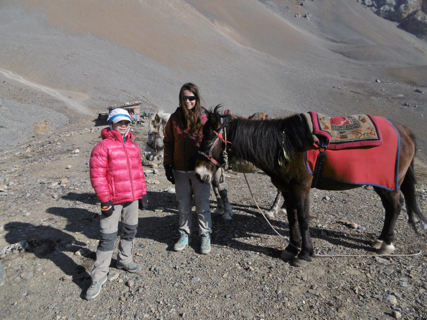 Papa, on peu finir à cheval ?