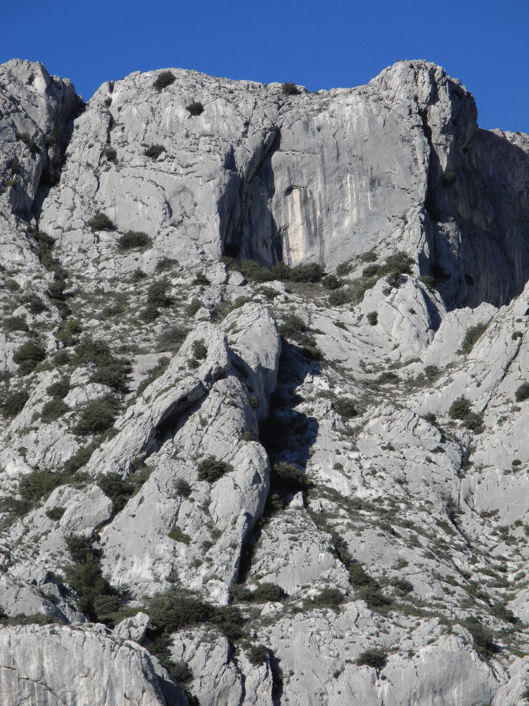 JvsP partie supérieure