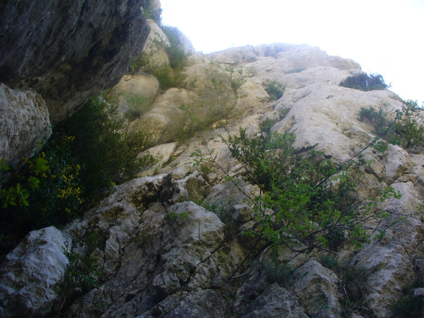 Pied de la voie, L1