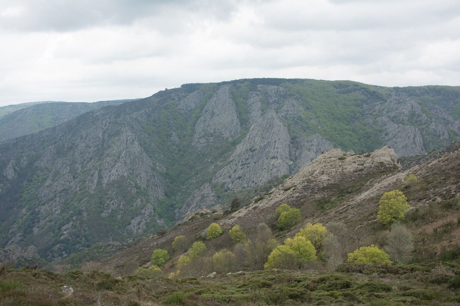 vers le col de Douch