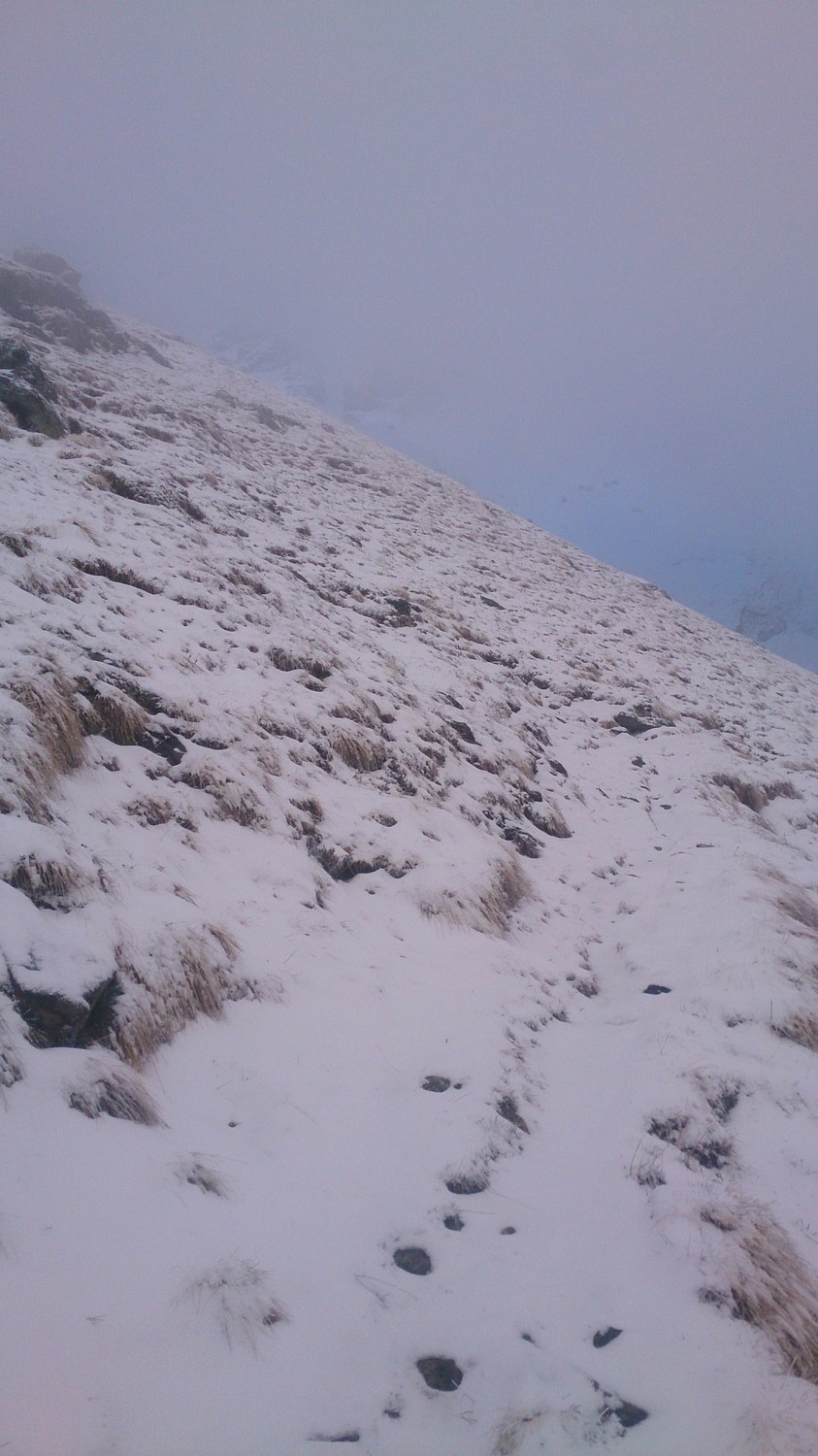Sentier saupoudré le matin