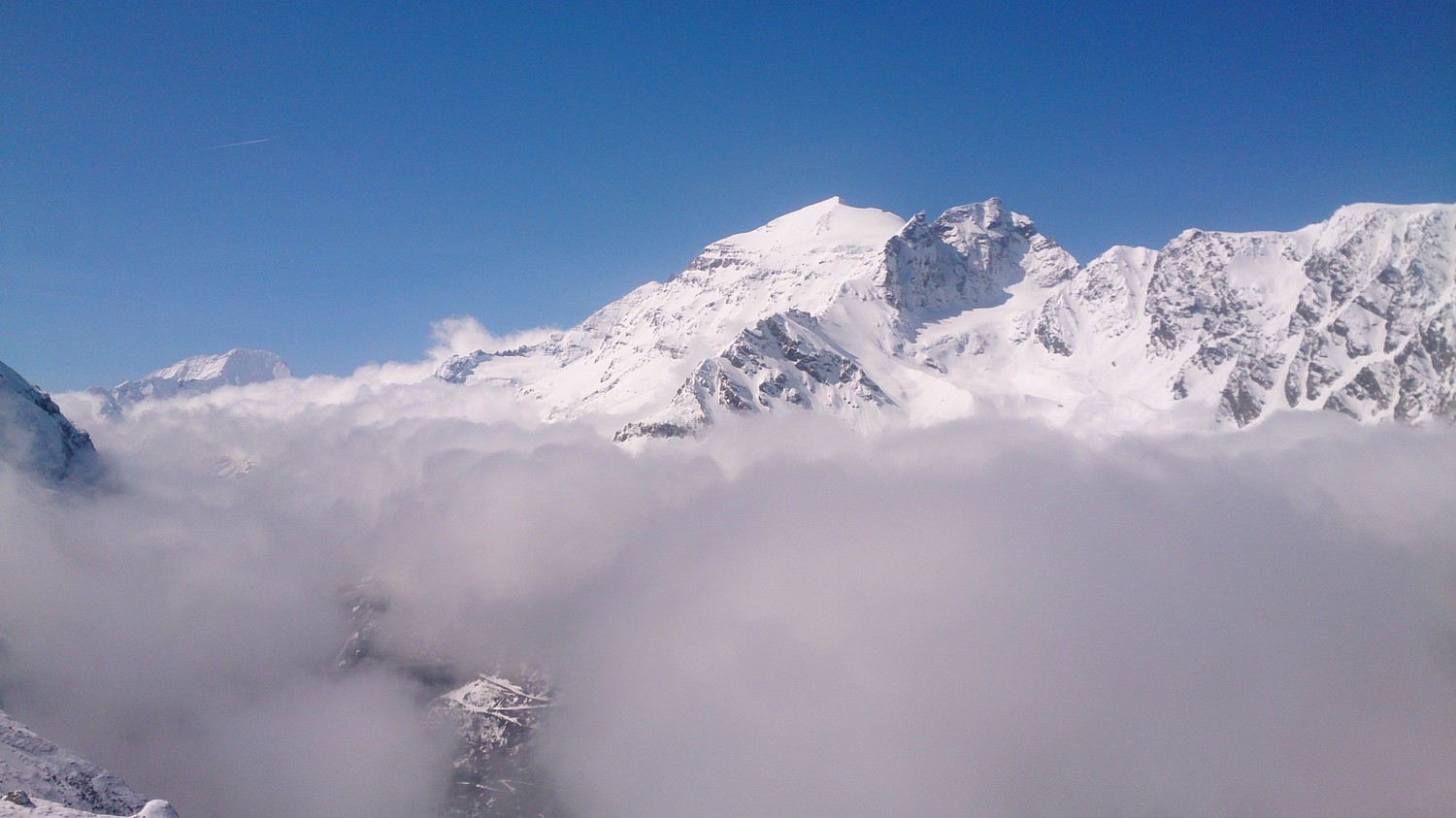 Tournelon Blanc