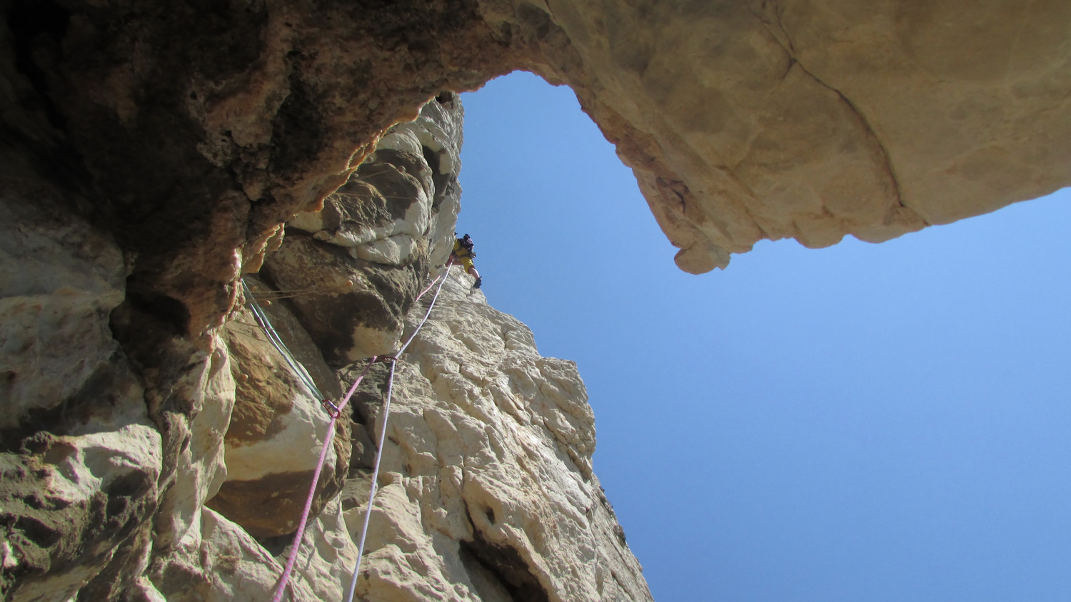 Superbe L3 vue de la niche