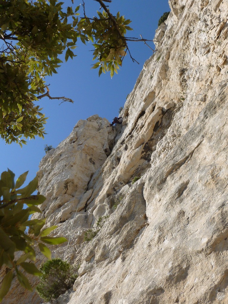 Laure dans la fin de L4