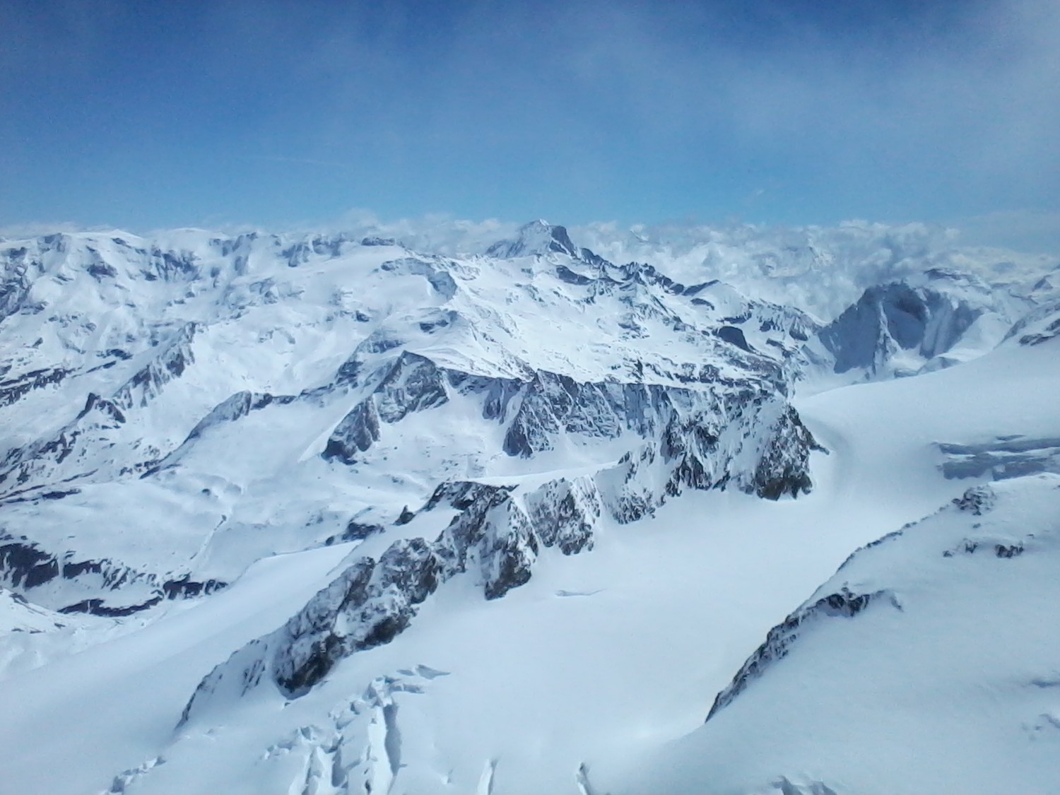 Dent parrachée