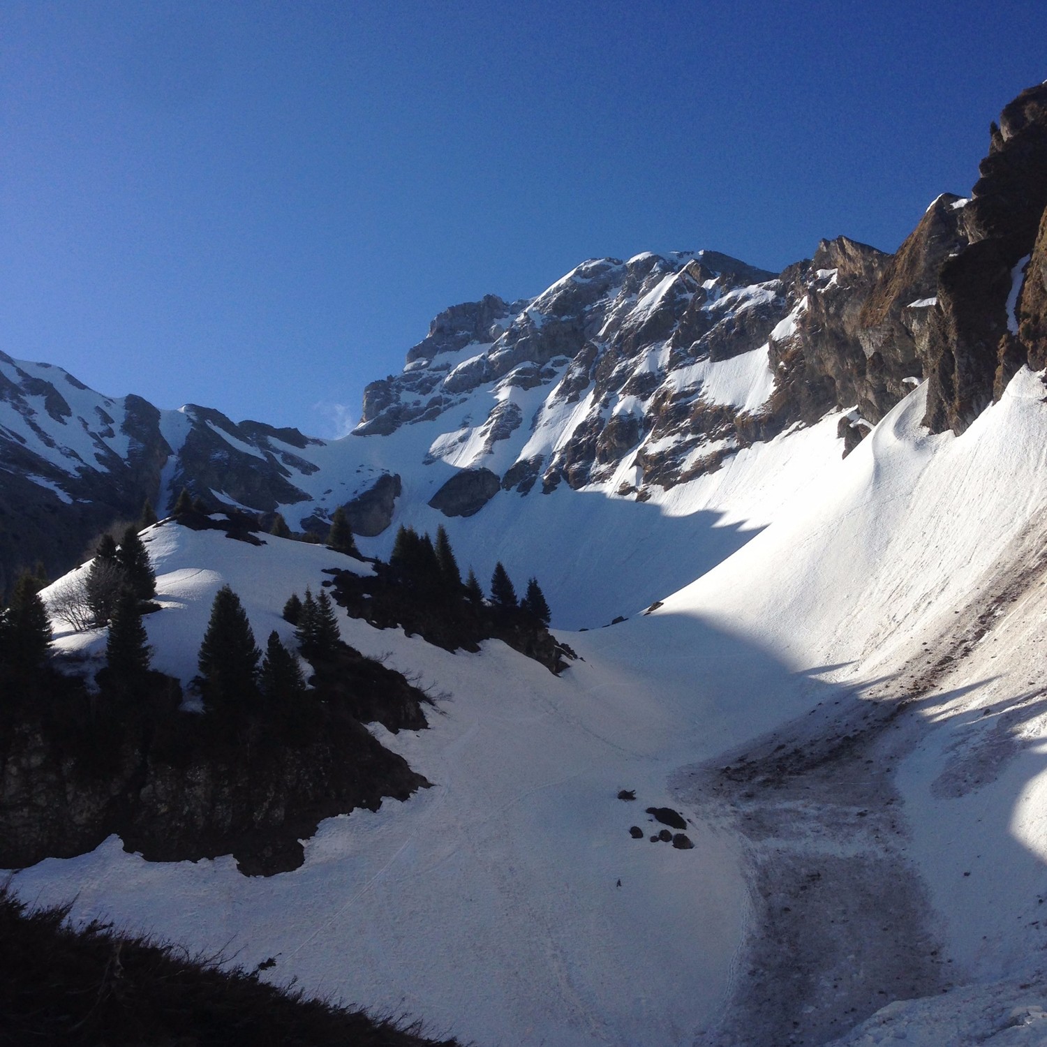 vue générale de la combe Sotty