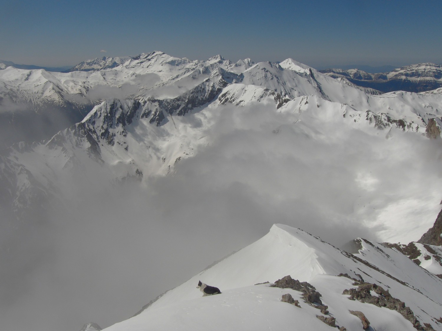 goofy à 'entame de la descente, sur l'arête aérienne menant au sommet, la suelza derrière.