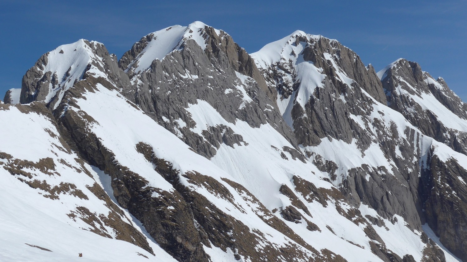 cherchez la dent blanche