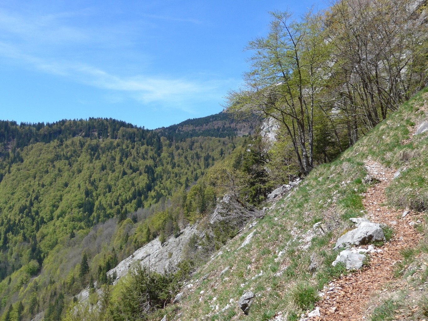 sur le chemin du crêt