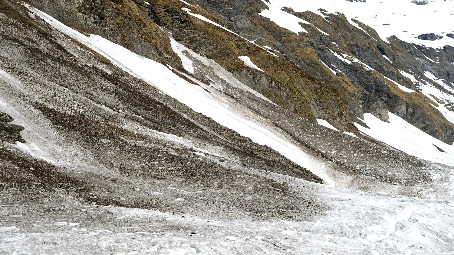 Neige noire recouvrant la neige jaune