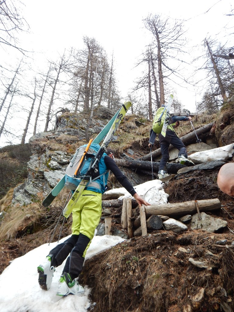 sentiero
