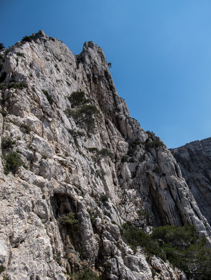 Vue d'ensemble de la paroi : la voie se situe à gauche; on passe au niveau du gros pin.