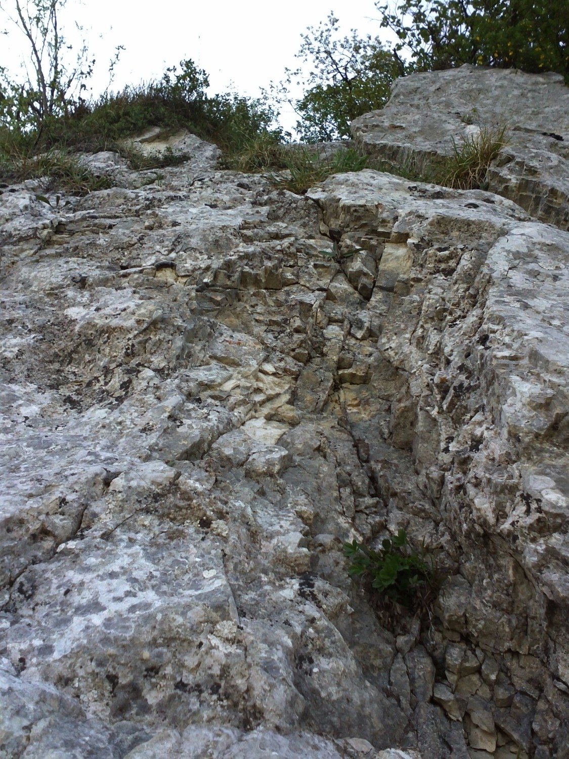 Petit mur