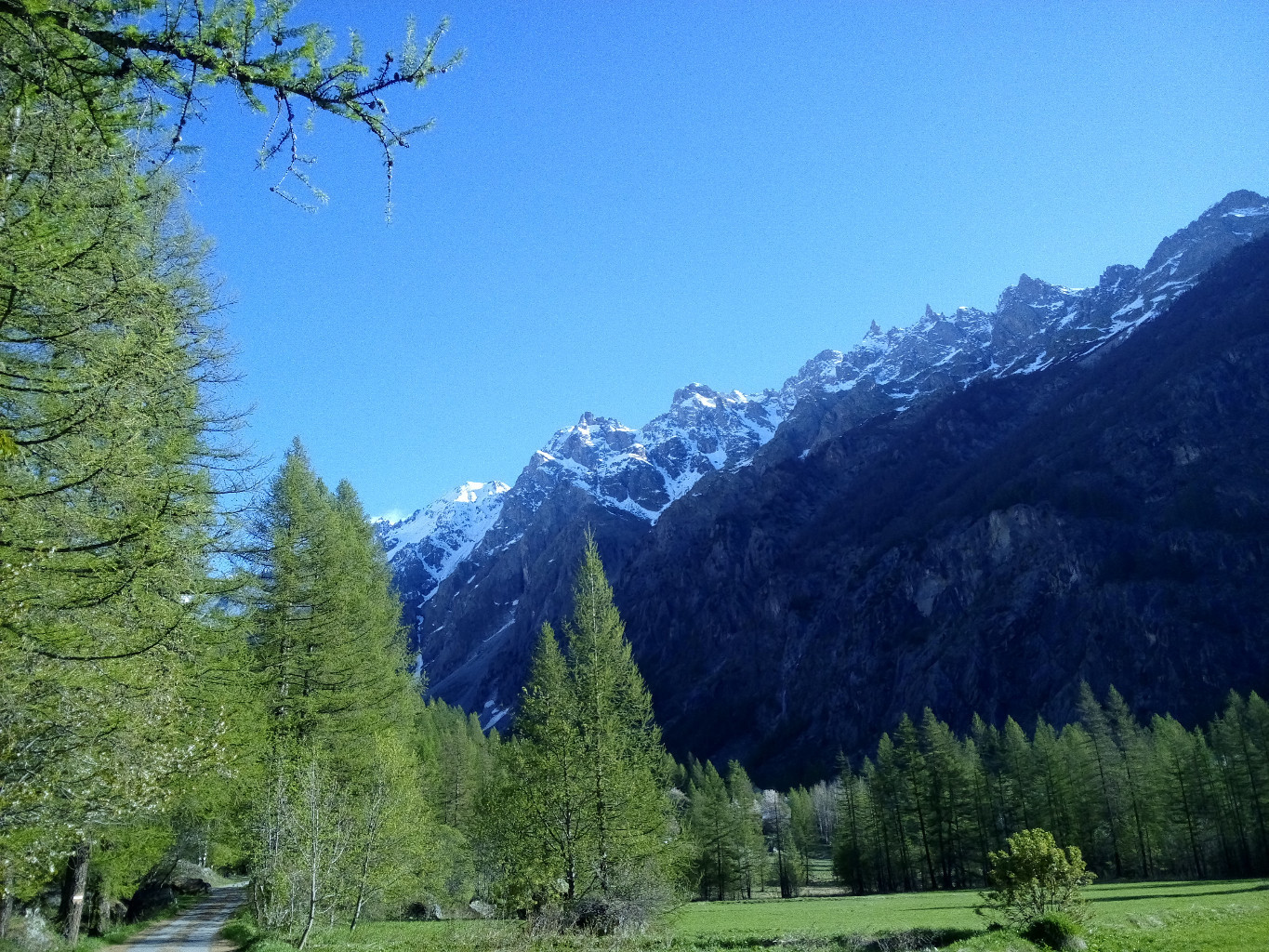 La vallée d'Ailefroide au matin