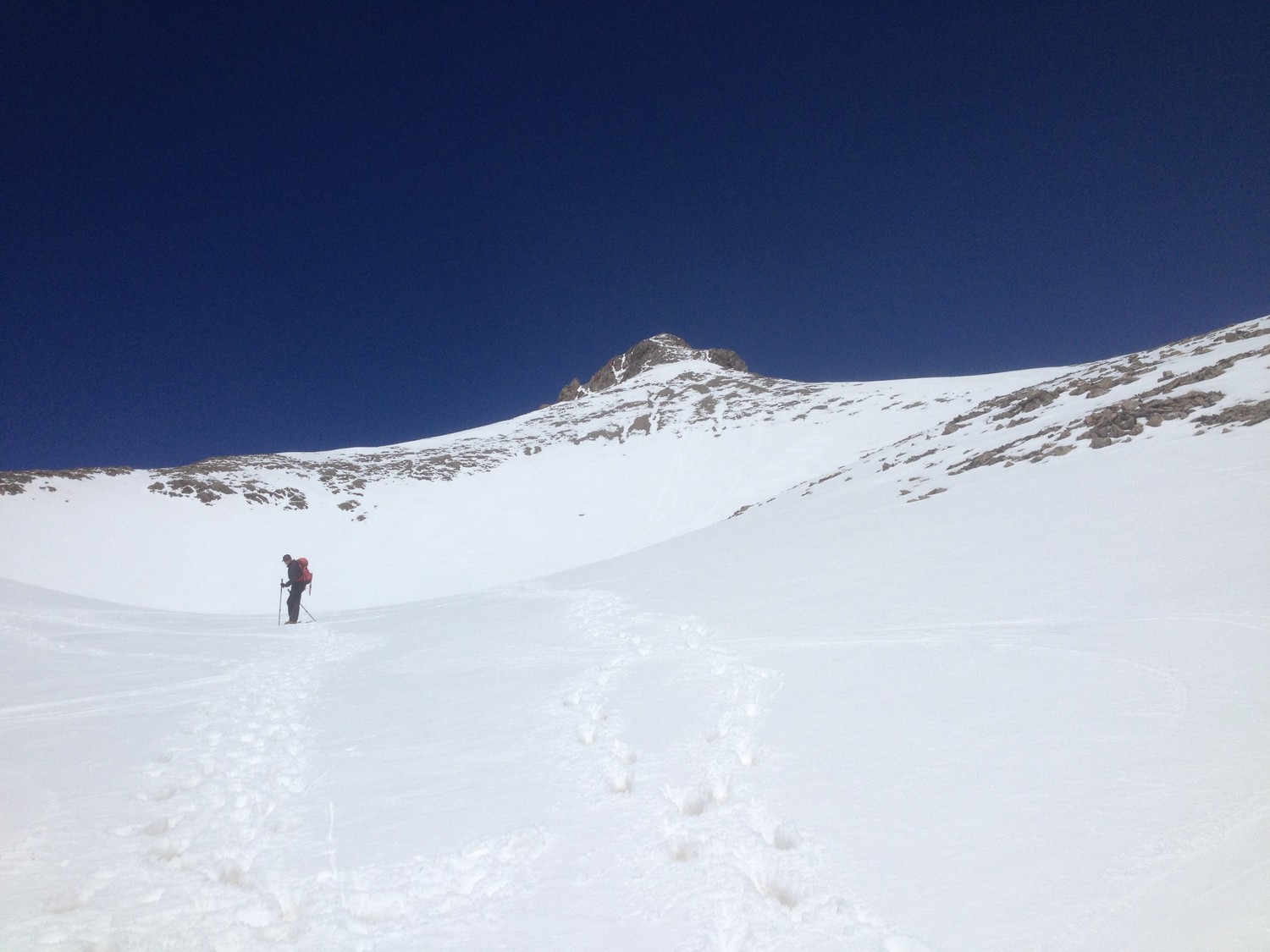 Le Mont Pelat vu de la combe du Pelat