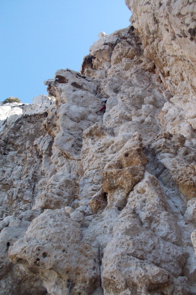La Verrue L1