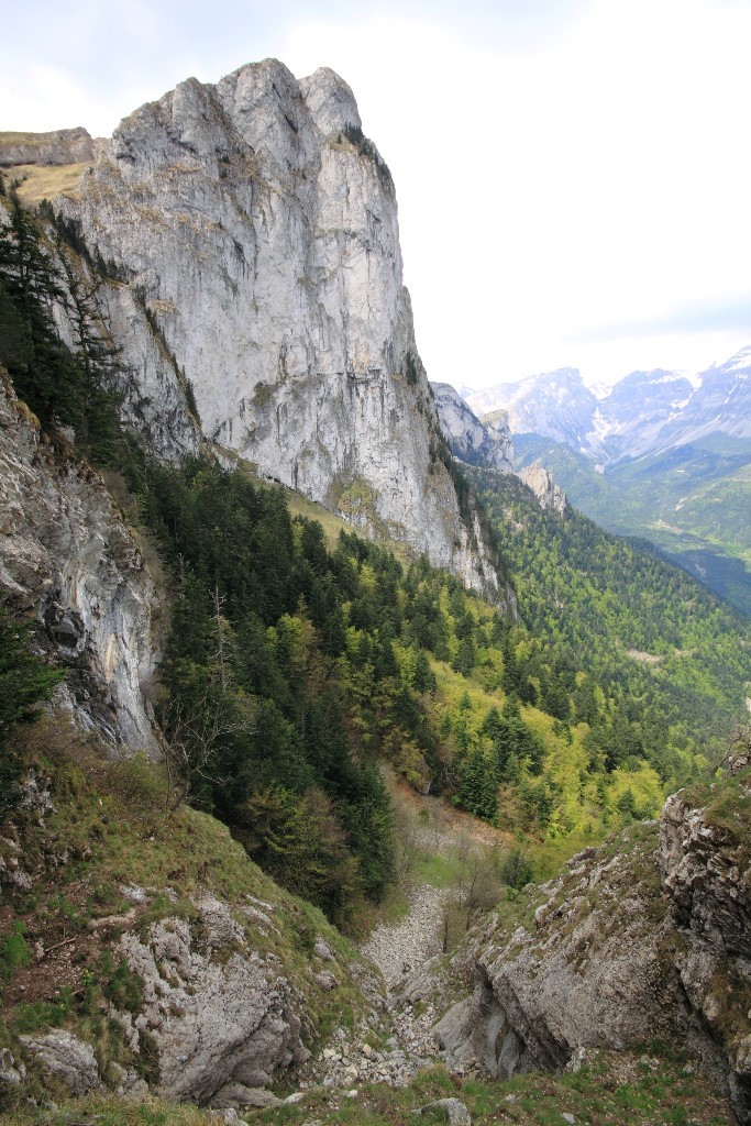 Au dessus de la cheminée