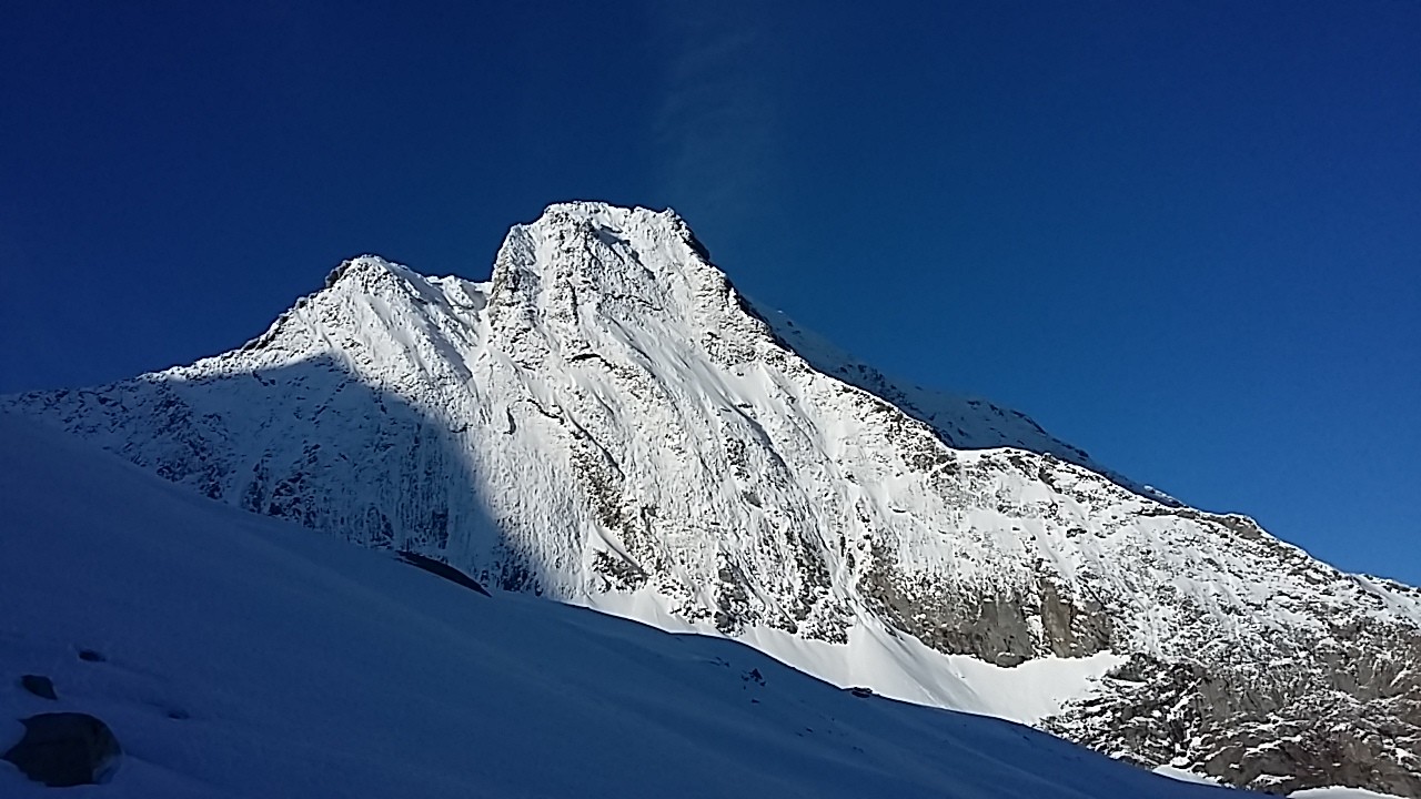 Hubschhorn in veste patagonica