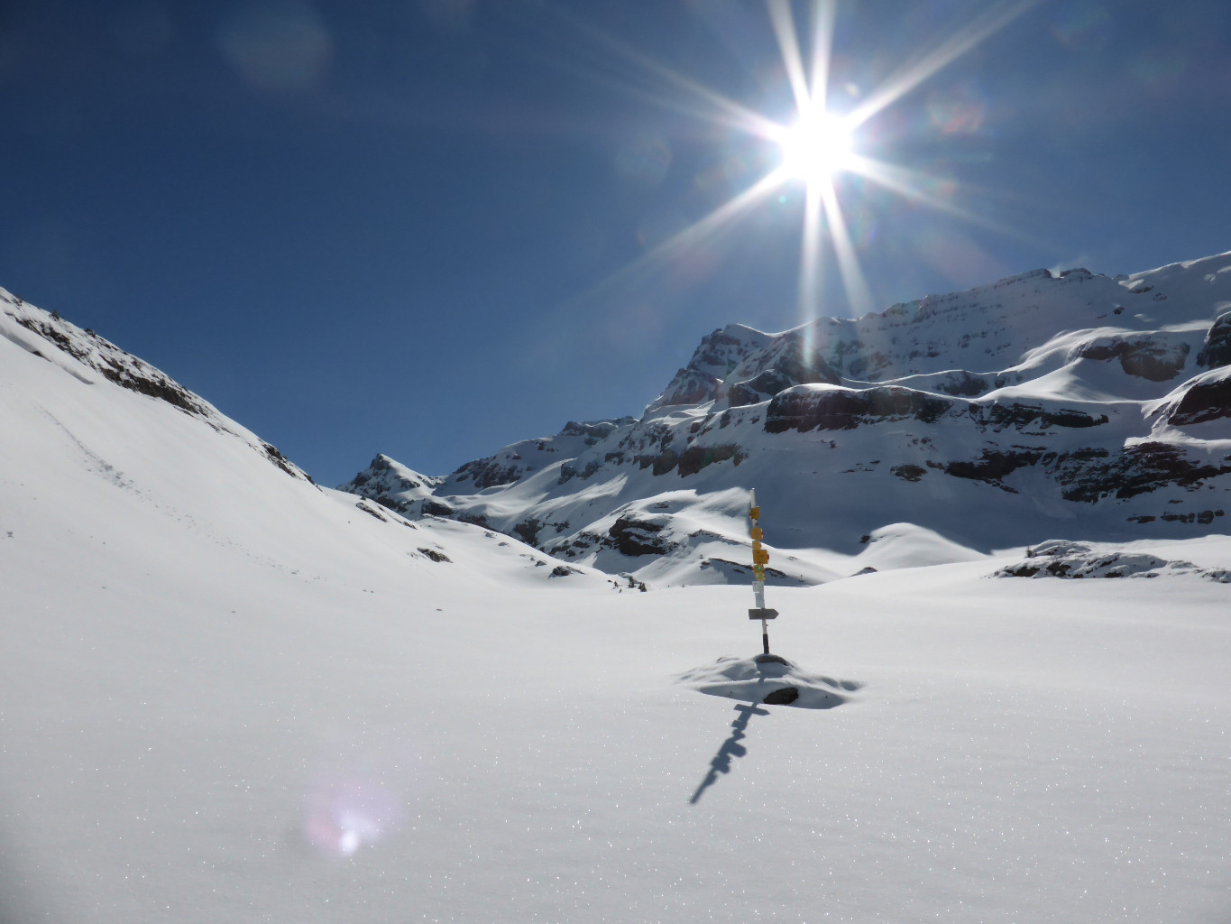 Au bas du vallon de Susanfe