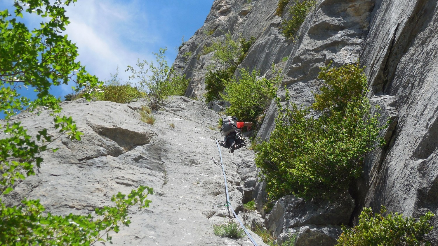 L1 très longue.