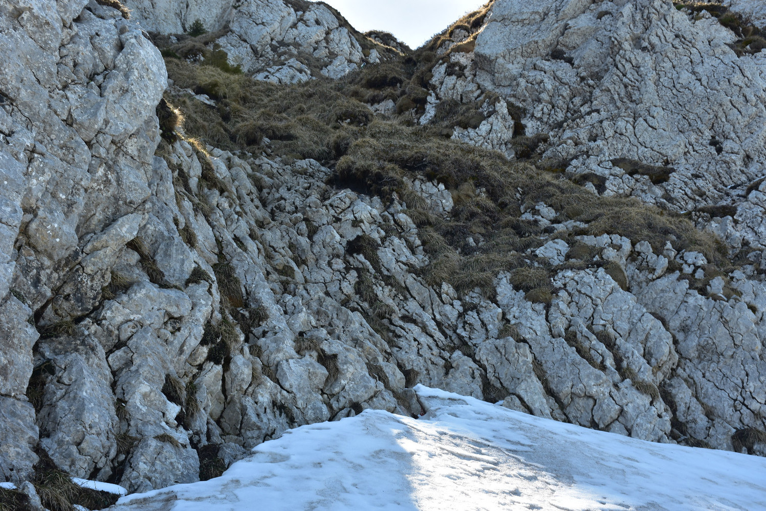 Grimpadeta de 5-7 metres (l'esglaó més alt)
