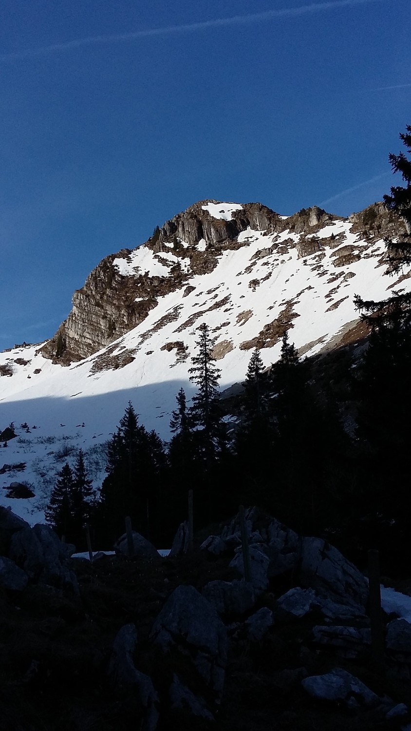 Ouf, il y a encore de la neige!