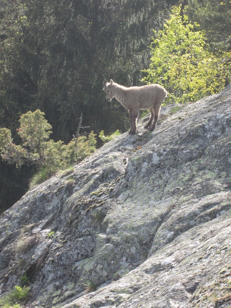 La belle surprise au sommet!