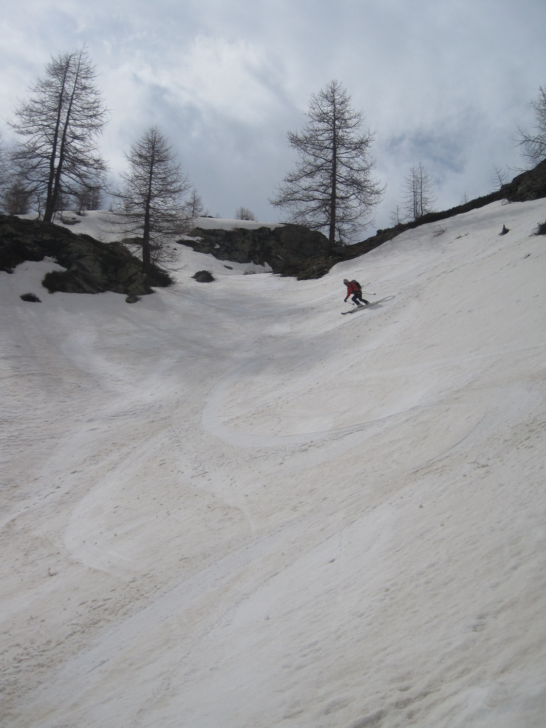 Bella neve estiva in basso