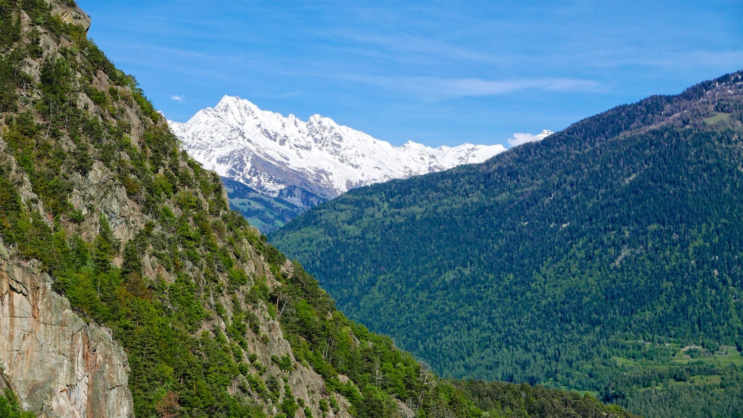 Constrate avec la haute montagne enneigée