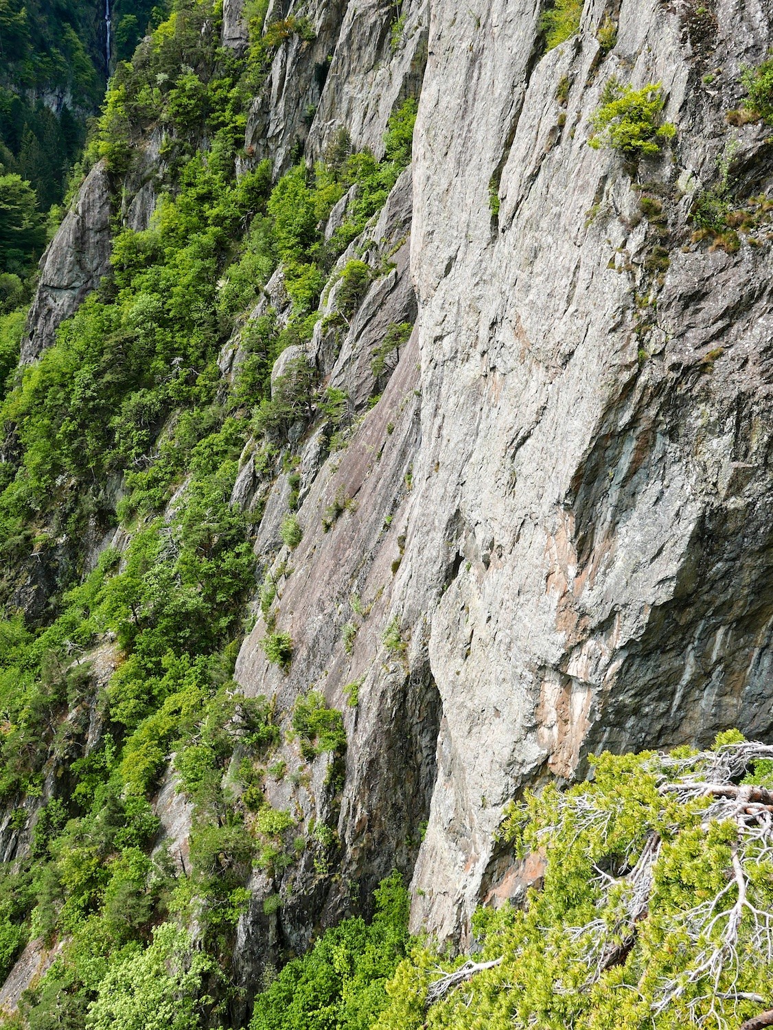 La dalle de L1+L2 de Chez Rocky à gauche