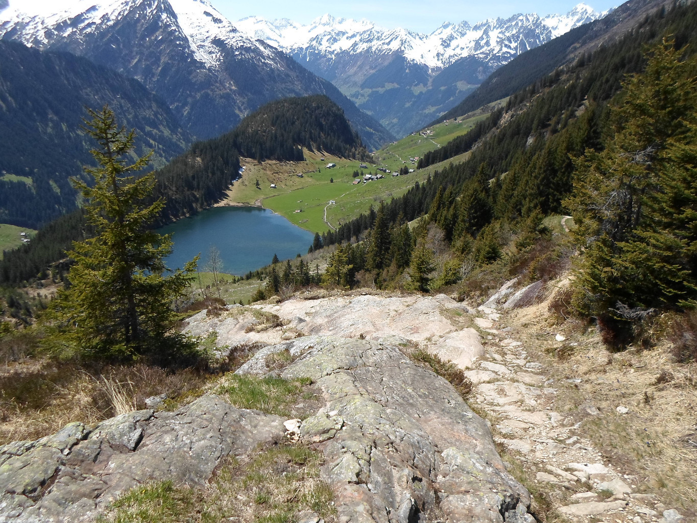 Il bucolico splendore del Golzernsee dal sentiero per il Windgallen Hutte.
