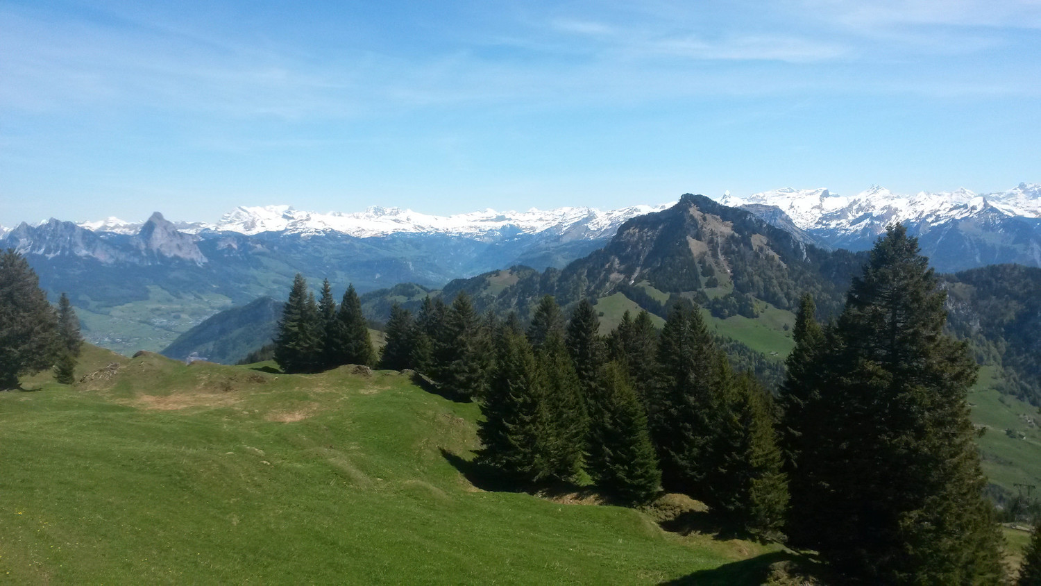 Rigi Hochflue