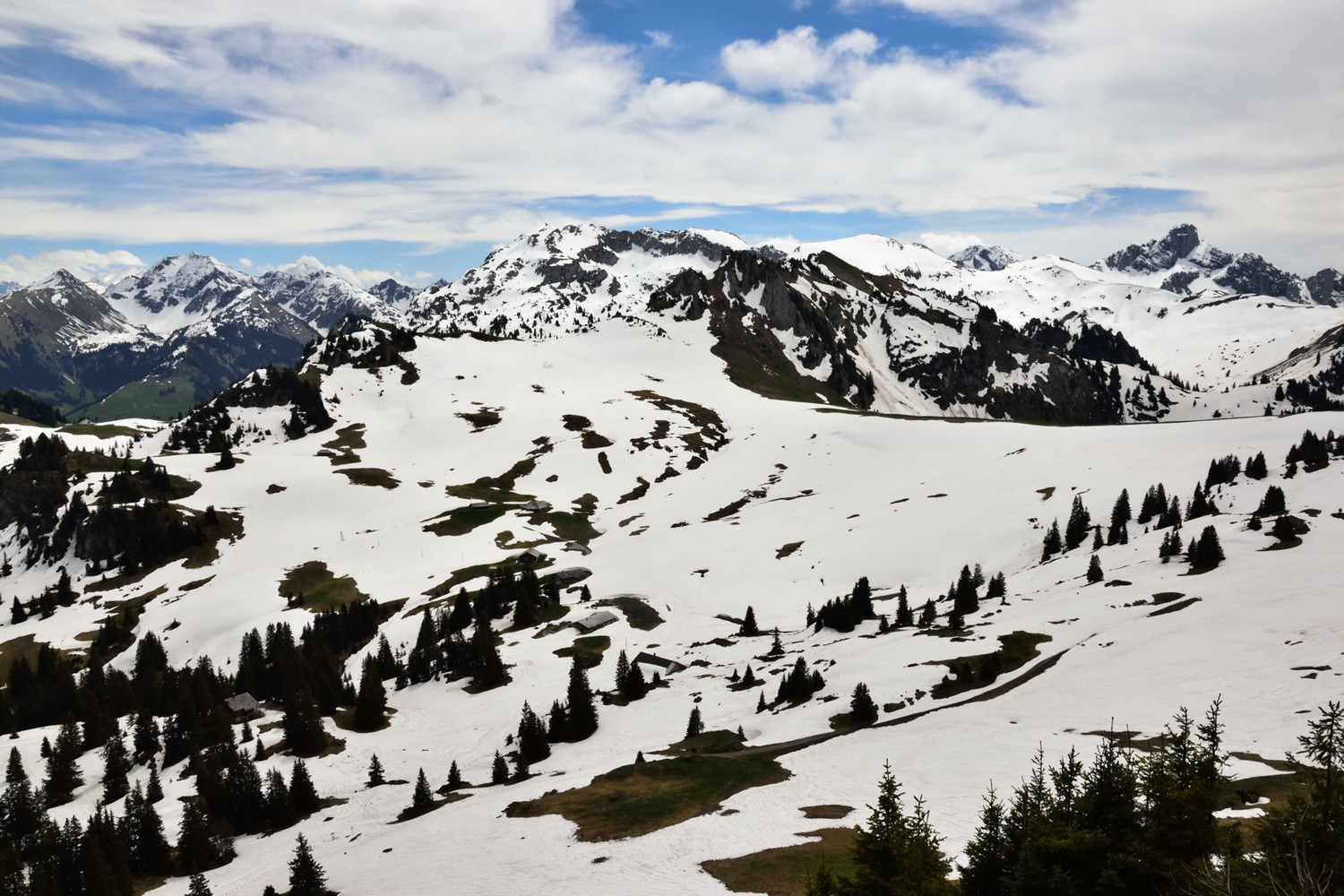 Plateau d'Obergesteln (1800m), 22 mai, pas 22 janvier...