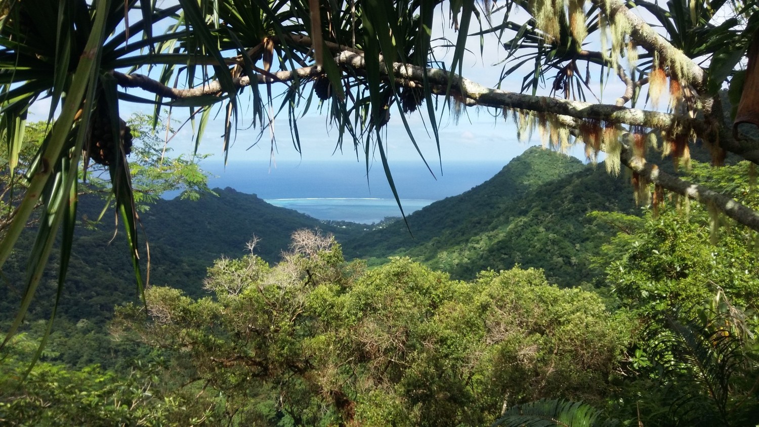 Vue côté Vaiare.