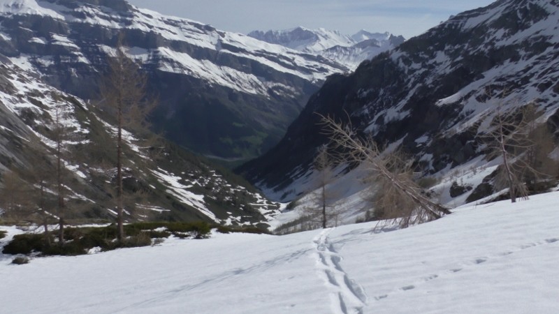 Coup d'oeil sur le bas du vallon de la Derbonne