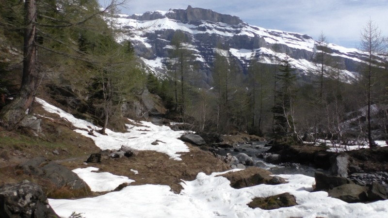 Limite de la neige (1600m.)