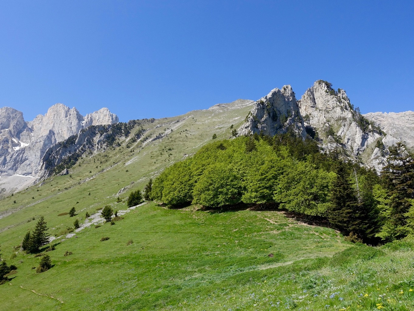 Sortie de la forêt : on découvre le versant E de la Croix de Queyrière.