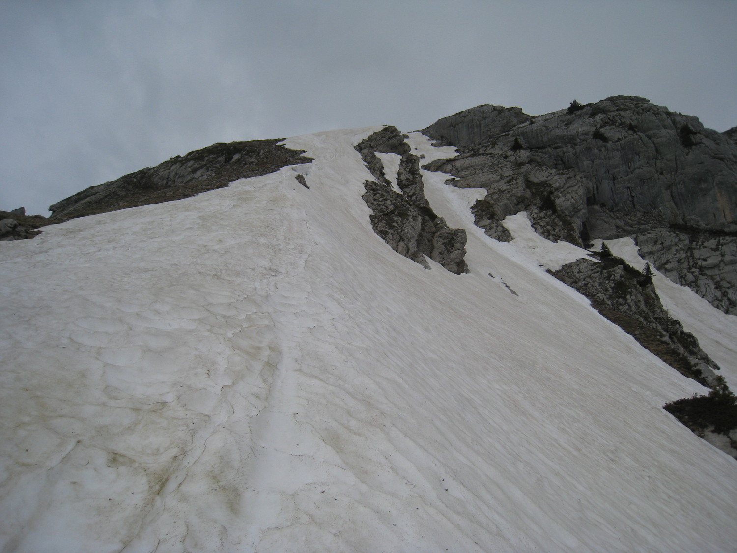 sur la croupe - Mt Lachat