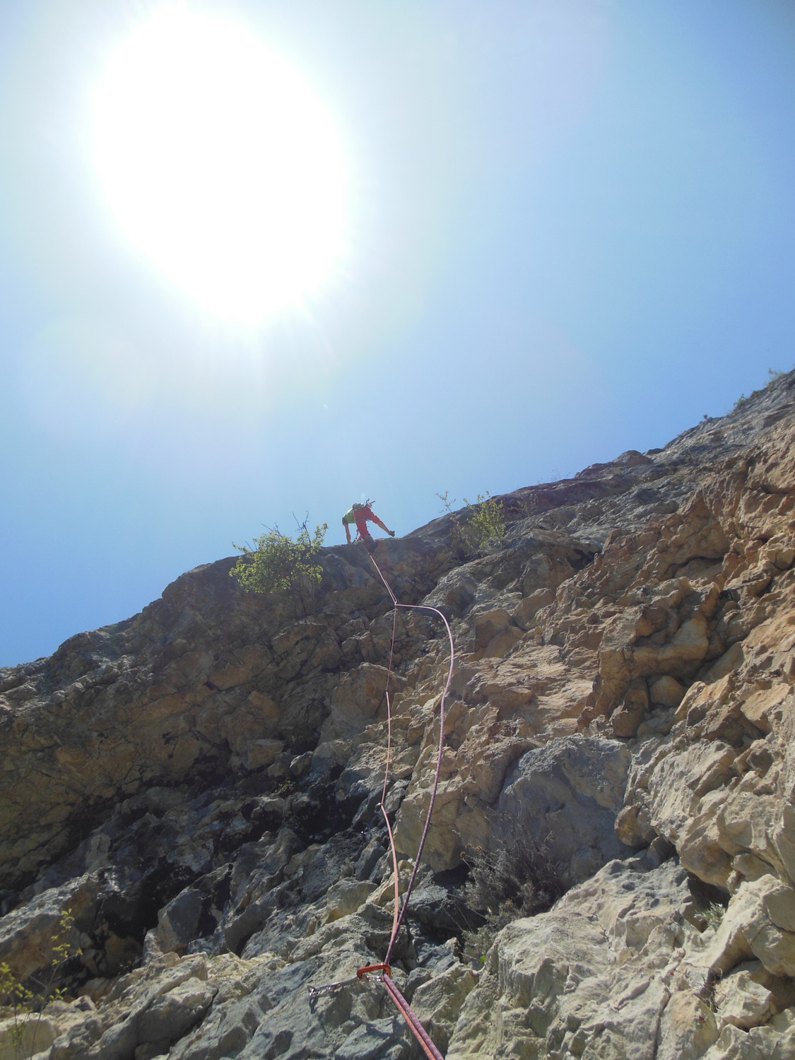 Stef dans L2