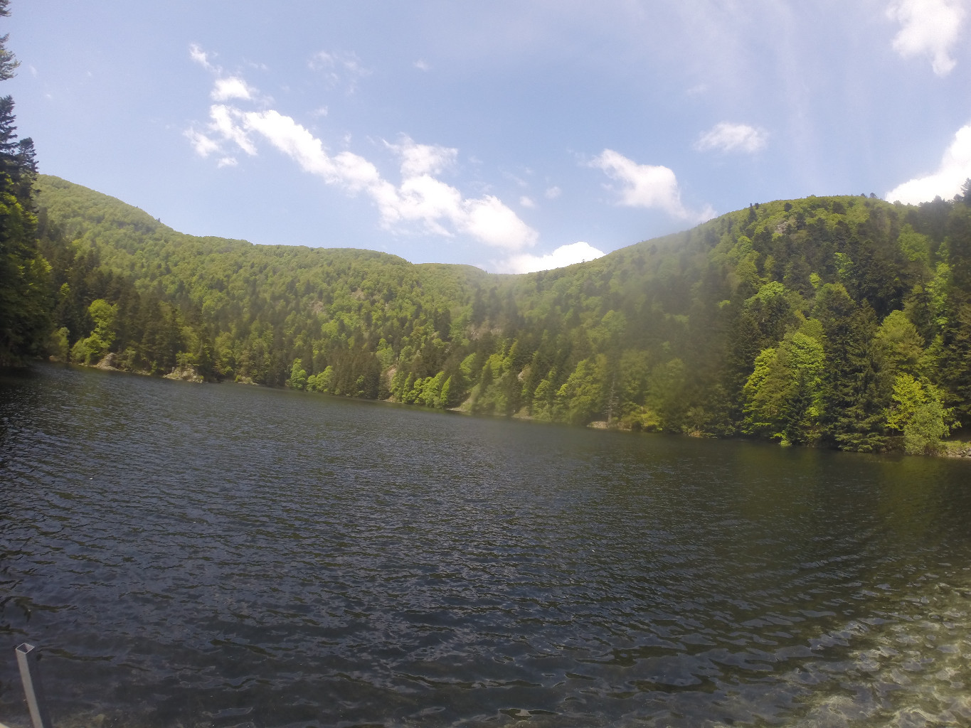 Lac d'Altenweiher