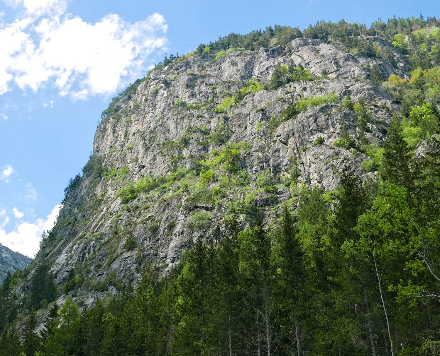 Vue d'ensemble