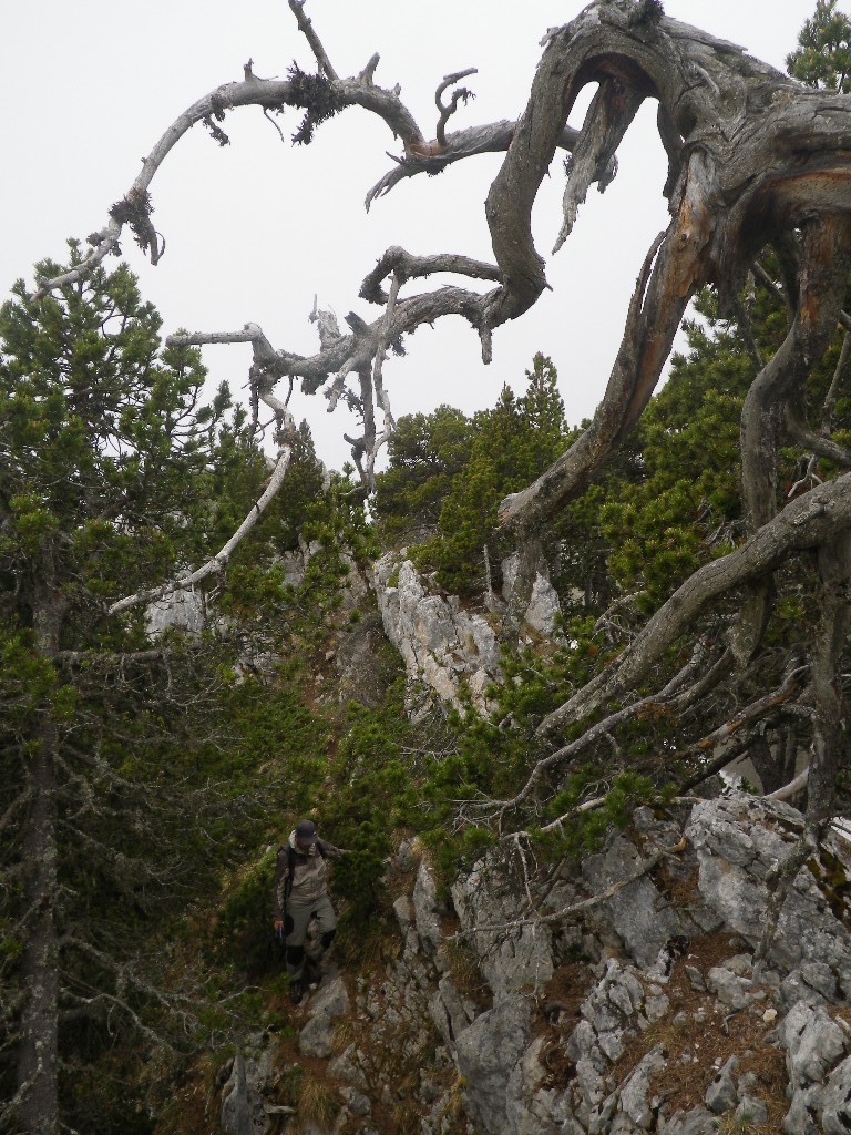 parcours mouvementé