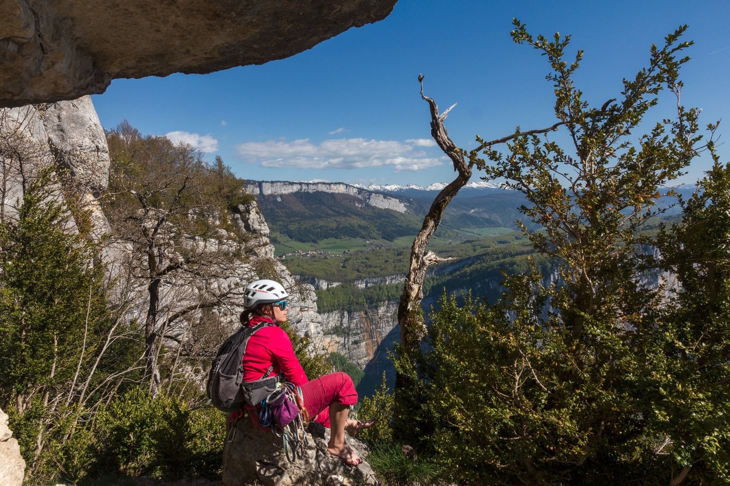 haut de la voie