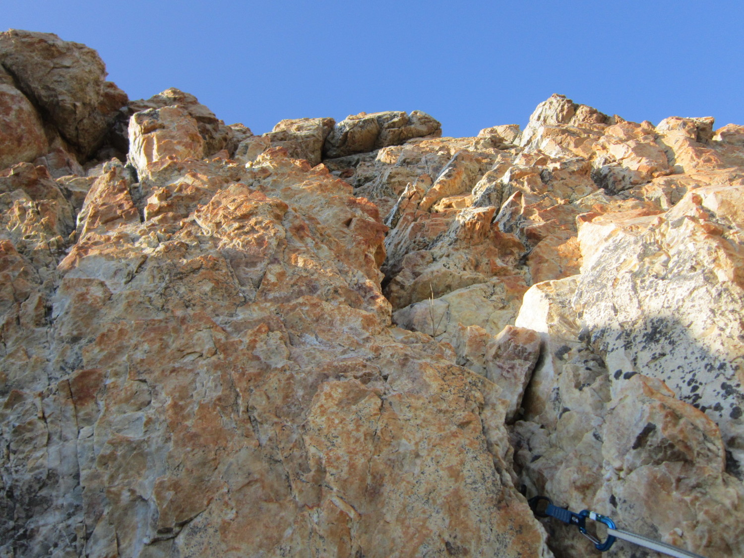 Fissure de la deuxième longueur.