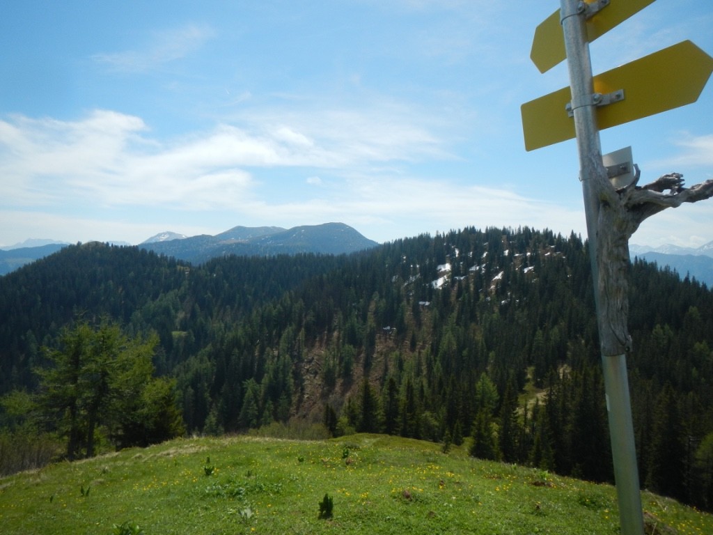 Verdure sur la traversée des crêtes des Ennstaler Alpen