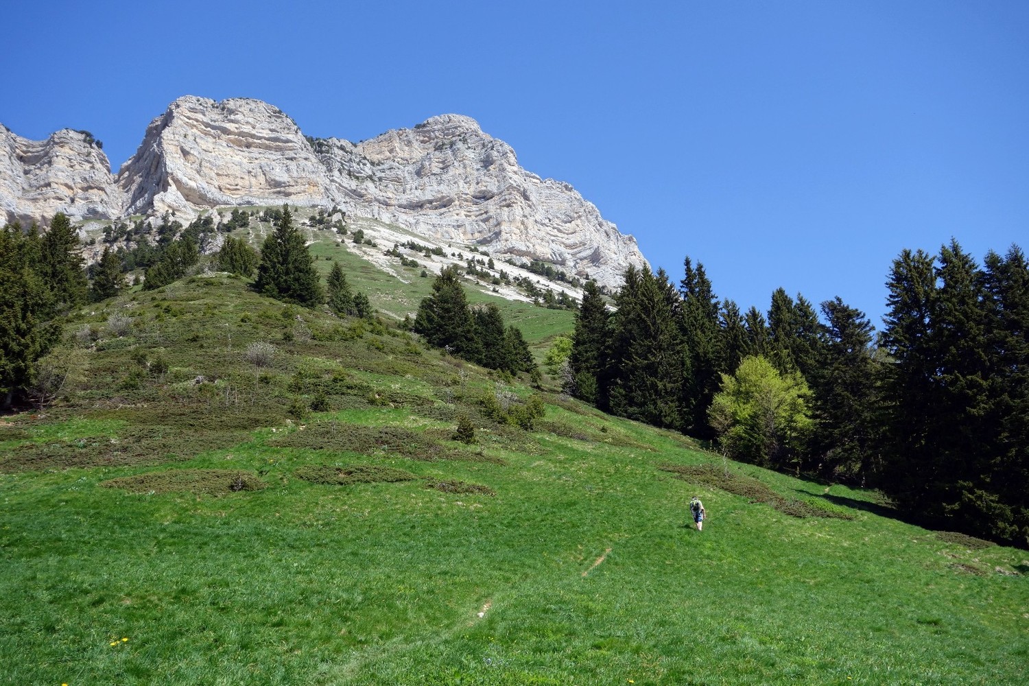 Chamechaude Face E