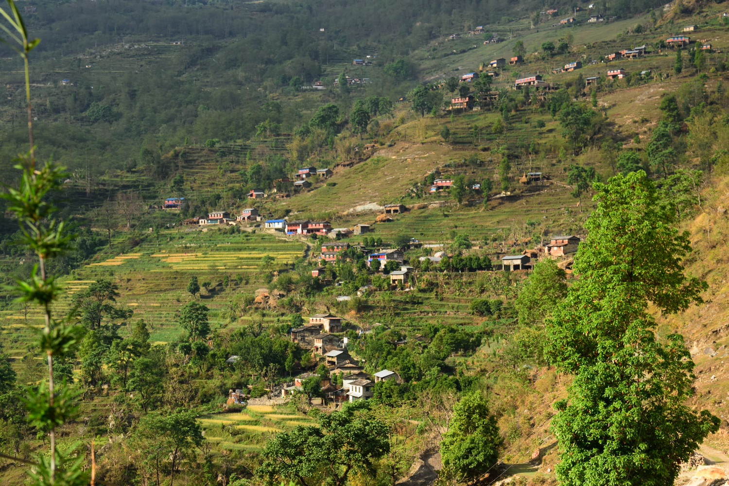 Dans la montée à Ghodepani
